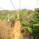팔공산케이블카 이미지