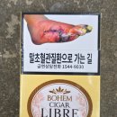 리브레 | 보헴 시가 리브레 후기
