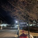 하동 화개장터 십리벚꽃길 숙소 화개송이펜션 내돈내산 후기