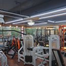 용구의 바디 스토리 이미지