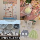 주정차74 | 속초 소품샵 거리 속초해수욕장 새마을길 주차꿀팁(조개줍깅/모그링/호두잡화점)
