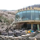 섬진농원 이미지