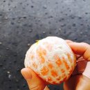 소라장모텔 이미지