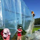 산외농장 이미지