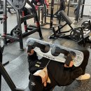 아쿠아휘트니스 이미지