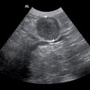 공리농장1 이미지