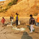 바다친구들 이미지