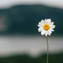 풍년농약사 이미지