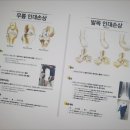 경희다나을한의원 이미지