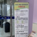 고성군 복합 국민체육센터 자유수영 후기