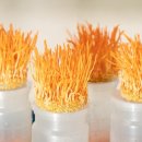 (주)무진산업기술 이미지