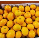 귀덕농장 이미지