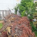 담덕기업 이미지