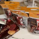 헤르츠 | W08. 강릉 웨딩스냅 도주재 X 보떼헤르츠 촬영 후기