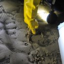 별빛달빛펜션 이미지