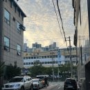 이모왕족발 | 대구 서구 평리동/서구청 맛집 서남시장김실장왕족발 내돈내산 후기
