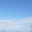 삼육회