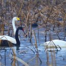 구미시추모공원 이미지