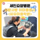 씨유미용학원