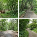 수리산 산림욕장 이미지