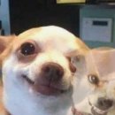 스시쿄다이 이미지