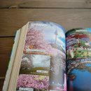 이정기농장 | [공지] 국내 최신 여행 트렌드부터 숨은 여행지까지 한 번에 여행 사전 에이든 국내 여행 가이드북으로