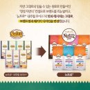 색연필해마루 | 청정 자연식 뉴트로 캣 세미나_분위기와 개요