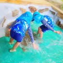 무지개카라반 이미지