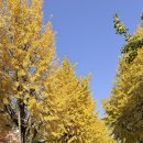 센스이비인후과의원 이미지