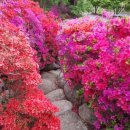 연주펜션 이미지