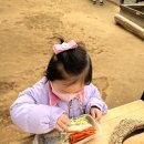 이상태농장 이미지