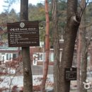 국립남해편백자연휴양림 이미지