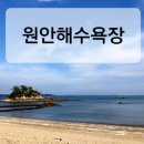 원안해수욕장 네이버블로그