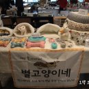 페츠하임 | 우쭈쭈내새꾸마켓 1회 후기!!