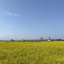 포항유니수산 | 포항 애견동반 가족여행 숙소 / 유니의바다 풀빌라 B동 (내돈내산)