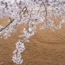 청해광풍 이미지