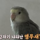 학계농장 이미지