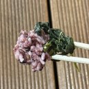 씨유(CU) 오산신한점 | 씨유 cu 편의점 도시락 가격 새해복많이드시락 무난한 설날 명절 도시락 가성비 신상 추천