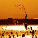 강변의 숲속 이미지