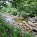 민들레 펜션 이미지