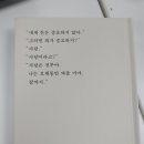 96기 5주차 목요일 홍대 살사 왕초보 수업후기(feat. 페이버쌤) 이미지