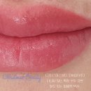 테크닉 | [입술반영구] 2년 잔흔 커버 &amp; 퍼스널컬러 맞춤, 분당 오버립타투 전문 테크닉 후기