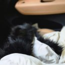 샤인세탁소 이미지