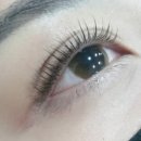 여시눈썹 이미지