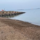 삼길포항 | 삼길포항 선상횟집 이용꿀팁!