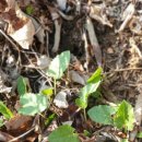 휴일엔펜션 이미지