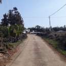 덕수리-4 이미지