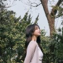 로라 카카오 검색결과