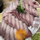 [수원 맛집/권선동 횟집]회사랑 내돈내산 방문후기