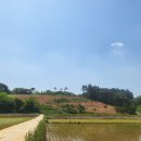 땅사랑공인중개사사무소 이미지